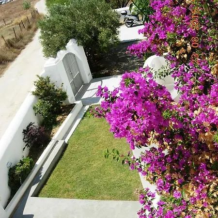 Vila Homey *