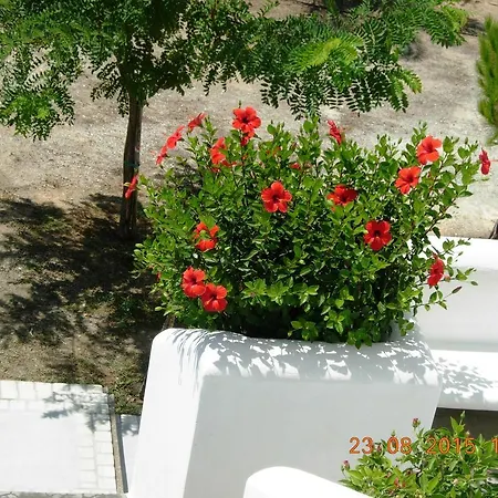 Vila Homey *